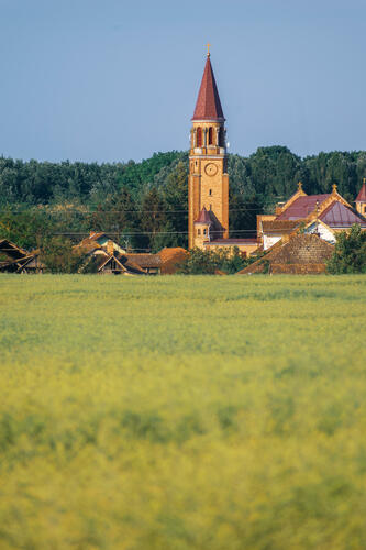 Church behind fields